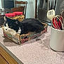 black_and_white, cardboard_box, cat, chair, countertop, cozy, domestic, feline, food_container, home, indoor, kitchen, pet, popcorn_jars, refrigerator, relaxed, spatula, table, utensils, whisk