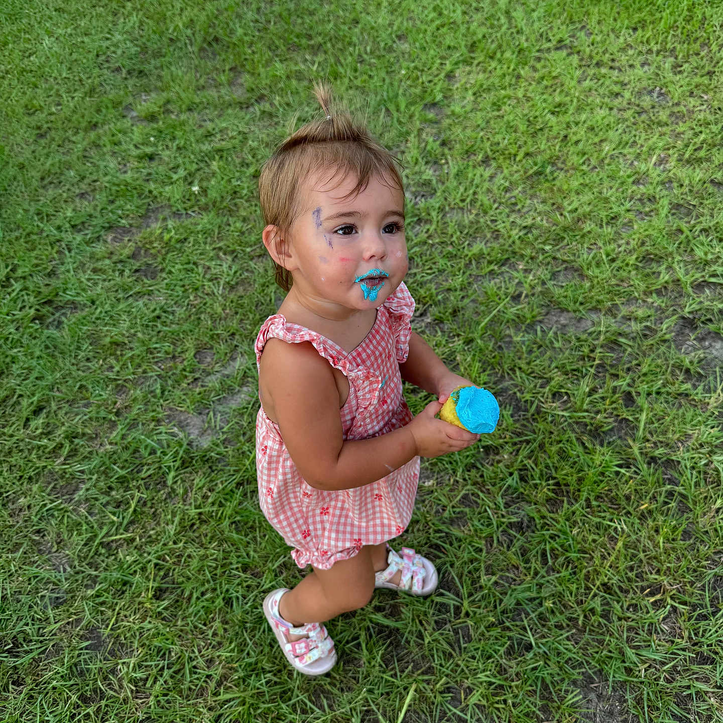Delaney
