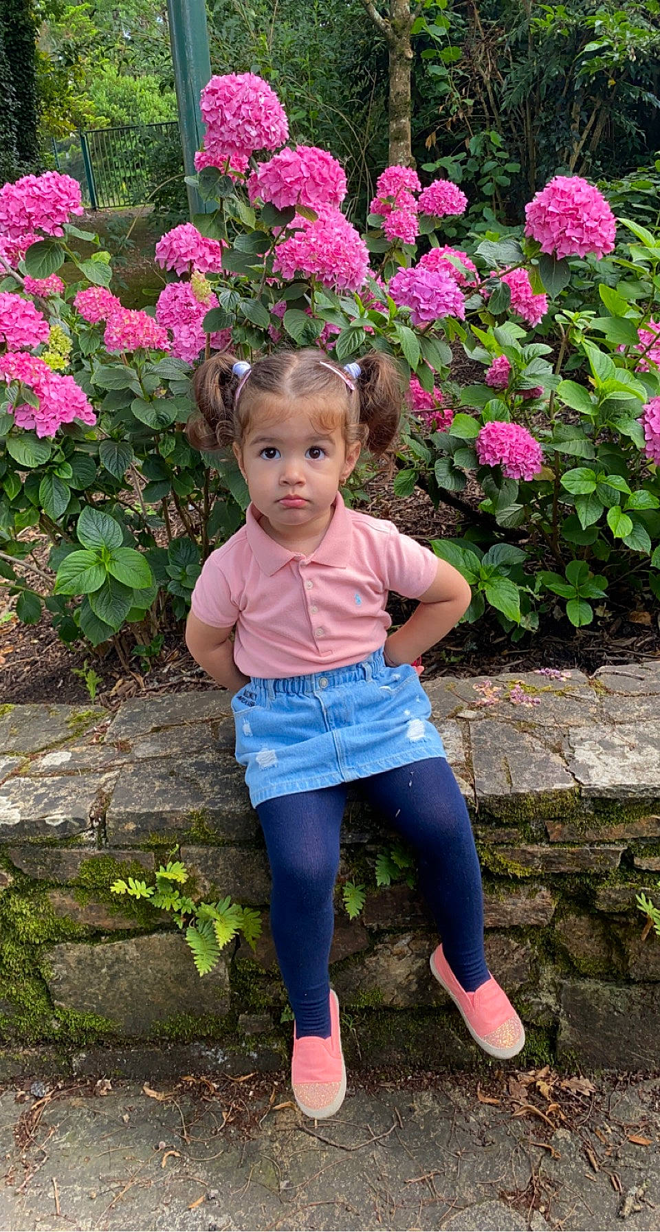 Sofia a rejoint le concours — aidez-le/la à gagner de superbes lots ! annual_plant, baby_toddler_clothing, flower, flowering_plant, garden, grass, green, groundcover, happy, magenta, people_in_nature, person, petal, pink, plant, rose, rose_family, shrub, sleeve, t_shirt