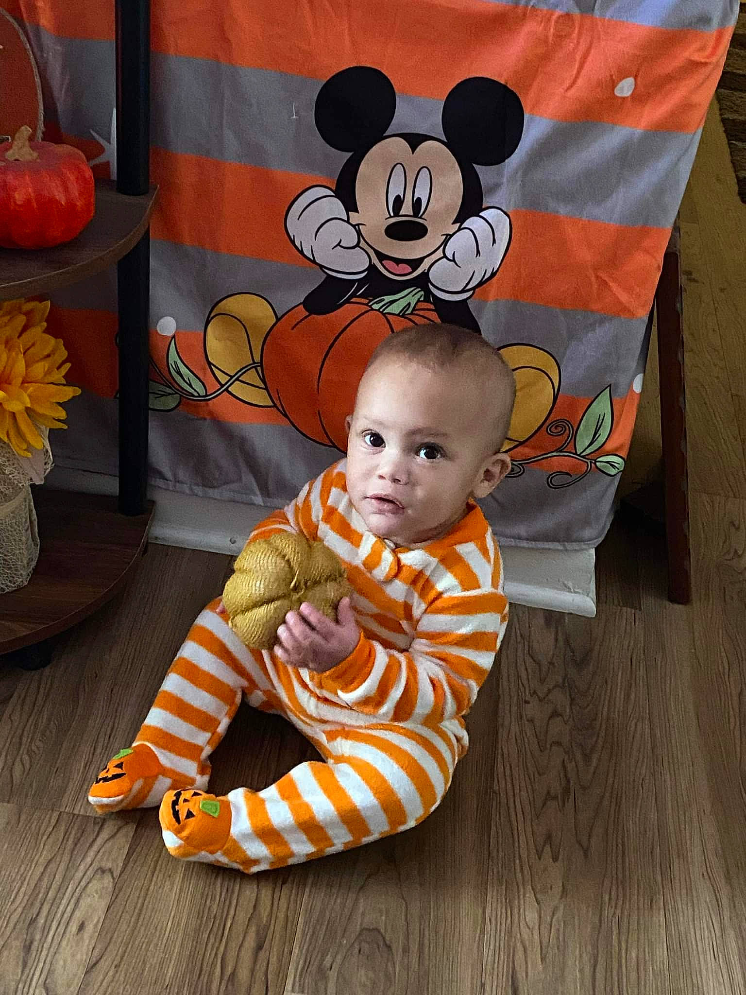 Seth Hunt joined the competition — help win amazing prizes! art, baby, baby_toddler_clothing, calabaza, child, costume, cucurbita, flooring, fun, gourd, happy, hardwood, orange, pattern, person, pumpkin, textile, toddler, winter_squash, wood