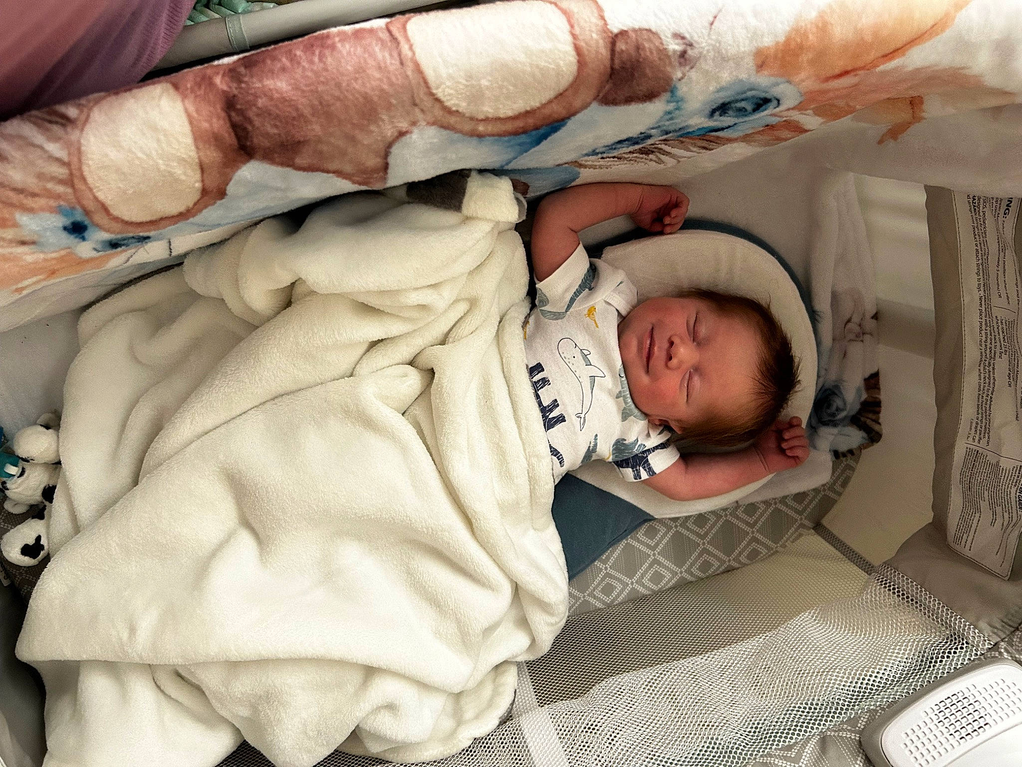 Jeremiah joined the competition — help win amazing prizes! baby, baby_products, baby_safety, baby_sleeping, baby_toddler_clothing, bed, bedding, bedtime, child, comfort, eye, face, fur, head, infant_bed, linens, nap, person, room, sleep