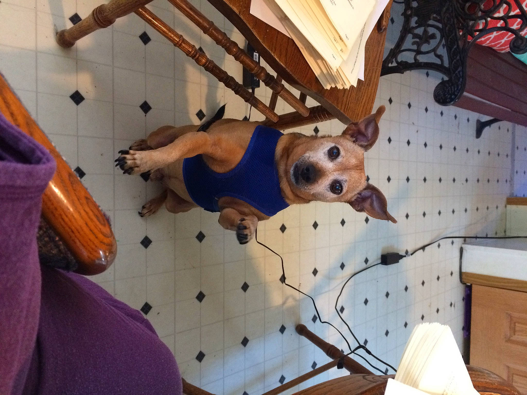 O D is registered to the contest to win money with this photo: adventure, cabinetry, ceiling, drawer, flooring, folk_instrument, fun, hardwood, hat, leisure, metal, musical_instrument, pattern, plywood, room, wood