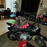 Suki joined the competition — help win amazing prizes! bucket, carpet, cat, chair, decorations, dirt_bike, floor, furniture, gray_cat, handlebars, household_items, indoor, living_room, motorcycle, pet, pink_grips, shelf, table, television, window