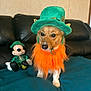 dog, leprechaun_costume, green_hat, orange_beard, plush_toy, mickey_mouse, sofa, blanket, indoor, pet, costume, brown_dog, black_sofa, decor, stuffed_animal, cute, holiday_theme, living_room, furniture, toy