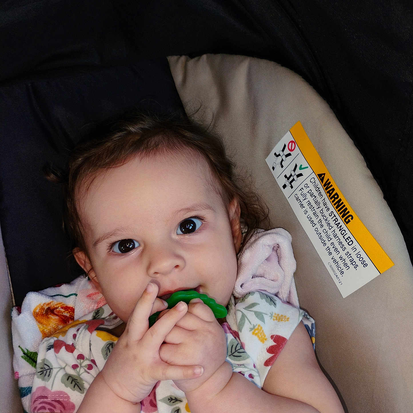 Daniela joined the competition — help win amazing prizes! baby, blanket, car_seat, child, clothing, cute, expression, eyes, face, floral_pattern, hands, indoor, infant, person, portrait, seat, skin, teether, toddler, young_child