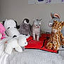cat, plush_toy, bed, blanket, stuffed_animal, giraffe, donkey, penguin, polar_bear, snoopy, red_blanket, white_bedspread, indoor, pet, animal, cute, feline, soft_toys, playful, cozy