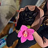 black_cat, yellow_eyes, paper_cone, pink_flower, person, tattoo, indoor, blurred_background, wooden_floor, holding, cute, pet, animal, feline, flower, close_up, portrait, soft_lighting, colorful, playful