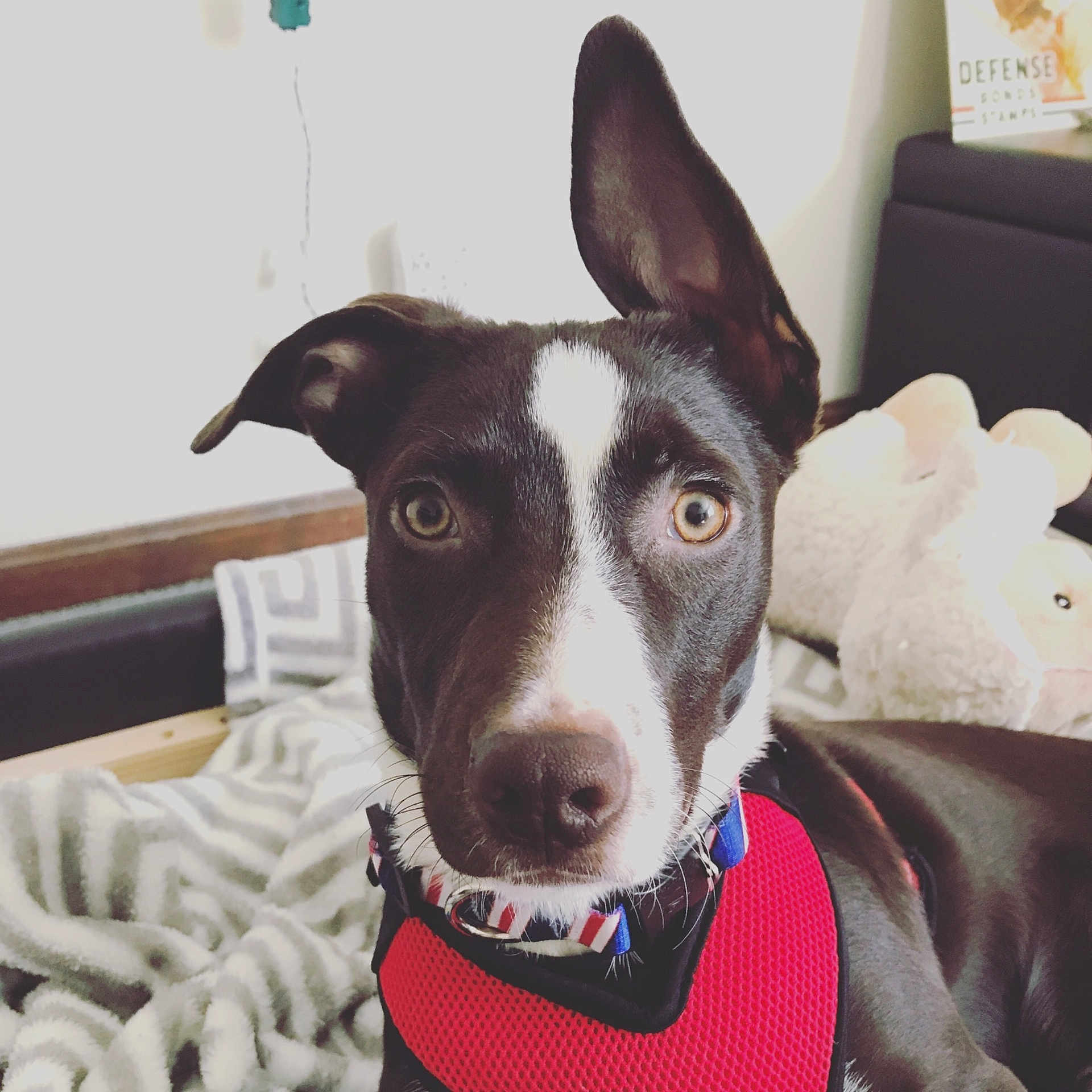 Eska