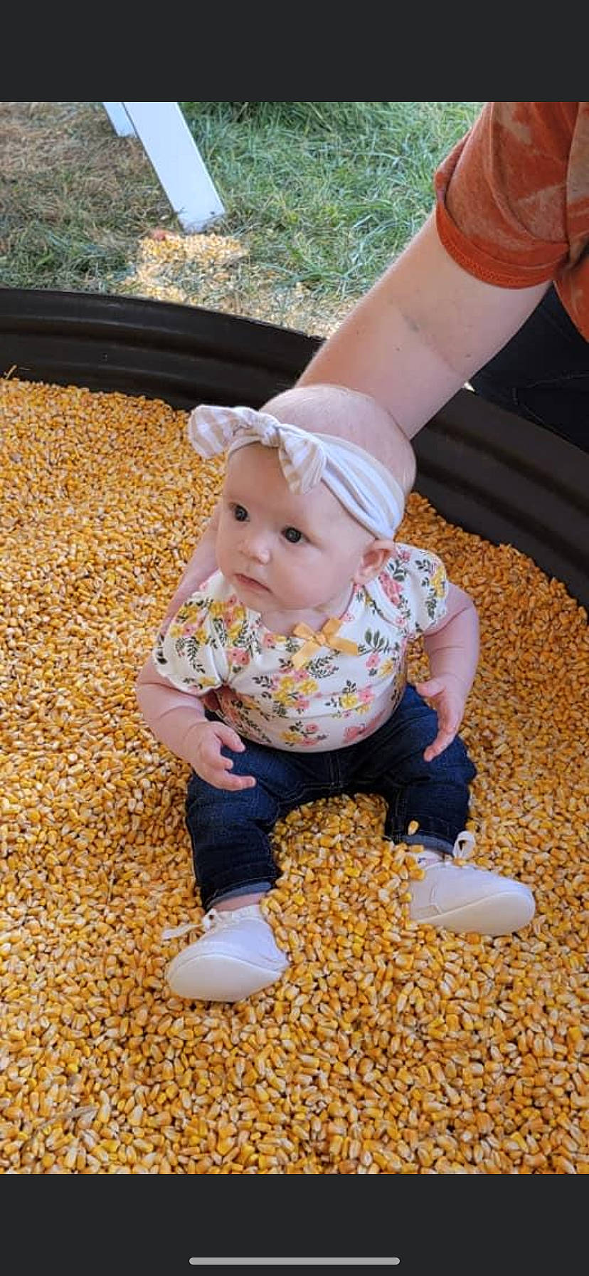 Lacey joined the competition — help win amazing prizes! arm, autumn, baby, baby_toddler_clothing, child, flooring, fun, grass, happy, headwear, human_leg, leg, leisure, pattern, people_in_nature, person, plant, play, sitting, sleeve