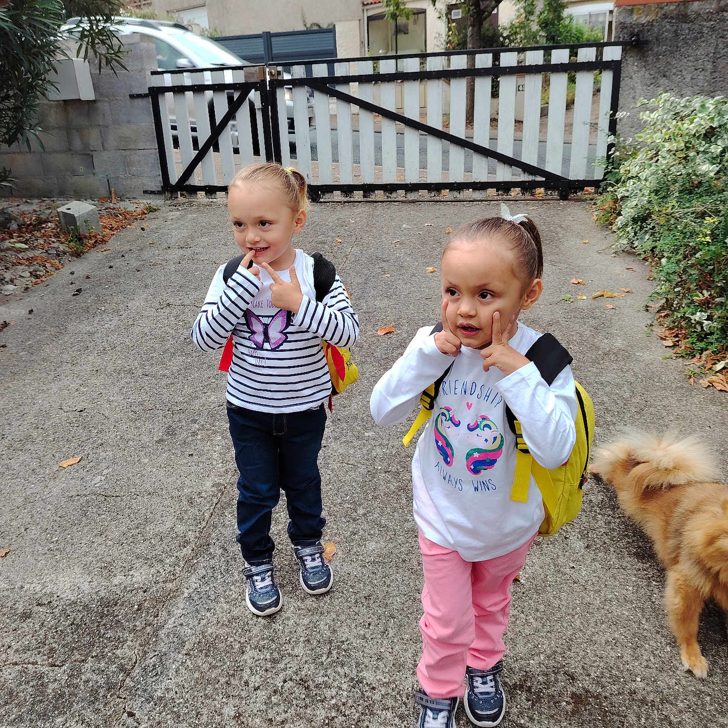 Prudence participe au concours pour gagner de l'argent avec cette photo : animal, boy, canine, child, city, clothing, face, fence, footwear, head, male, pants, path, person, photography, portrait, road, shoe, street, urban