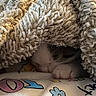 cat, blanket, paw, cozy, fur, snuggling, indoor, soft, resting, warm, textile, colorful, pattern, animal, cute, relaxing, hidden, sleeping, comfort, pet