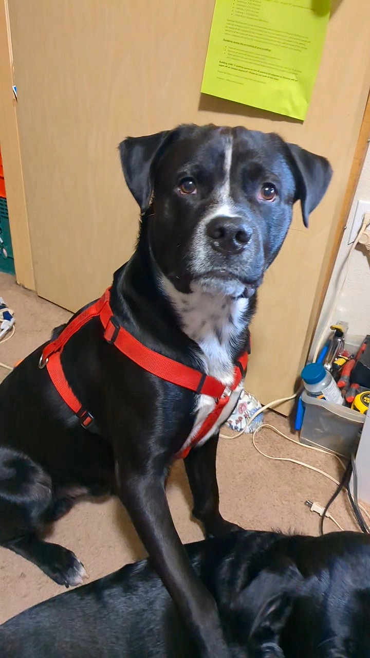 Buster
