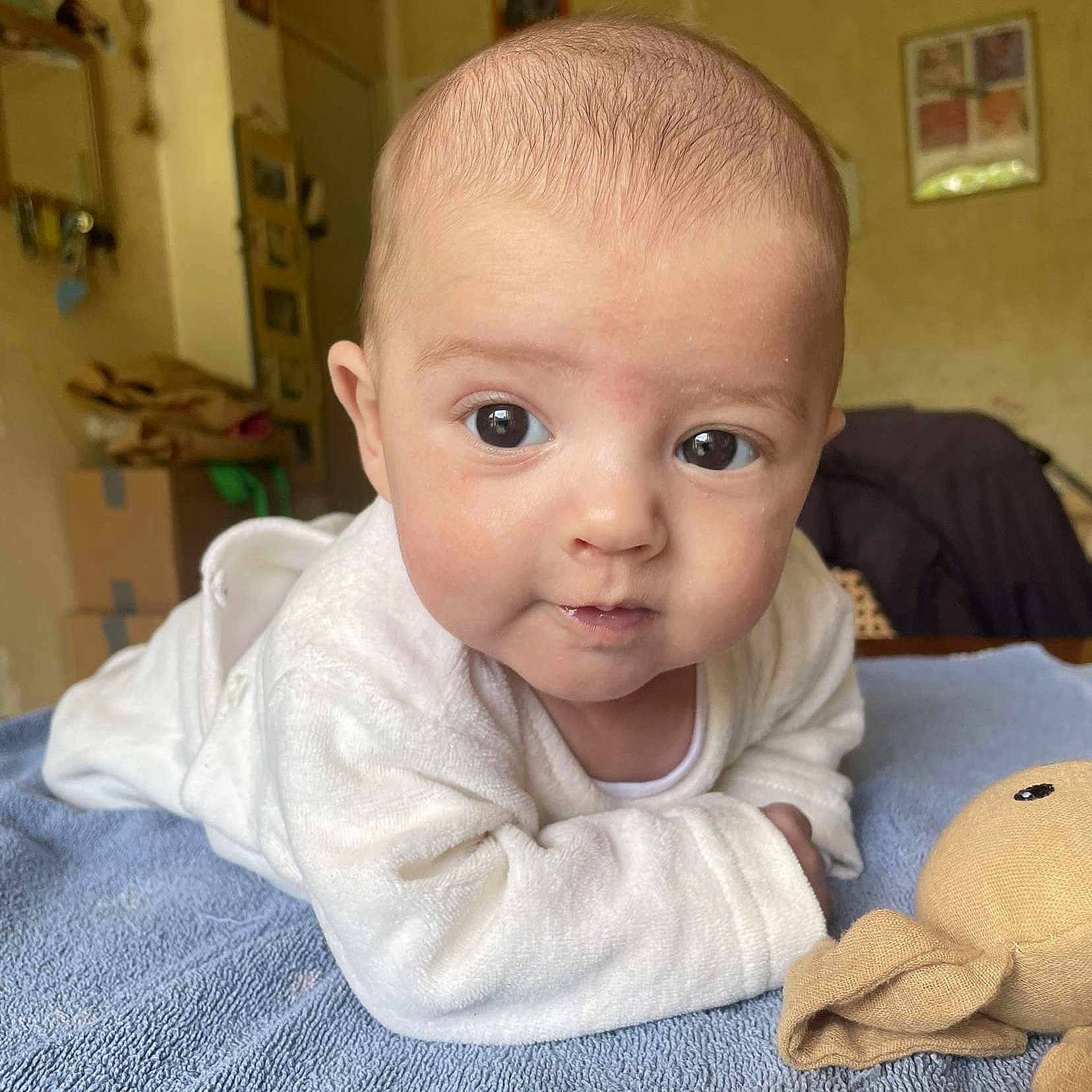 Kaylonn participe au concours pour gagner de l'argent avec cette photo : baby, babycrawling, blonde, clothing, crawling, face, hair, happy, head, person, photoframe, photography, portrait, sitting, sleeve, smile