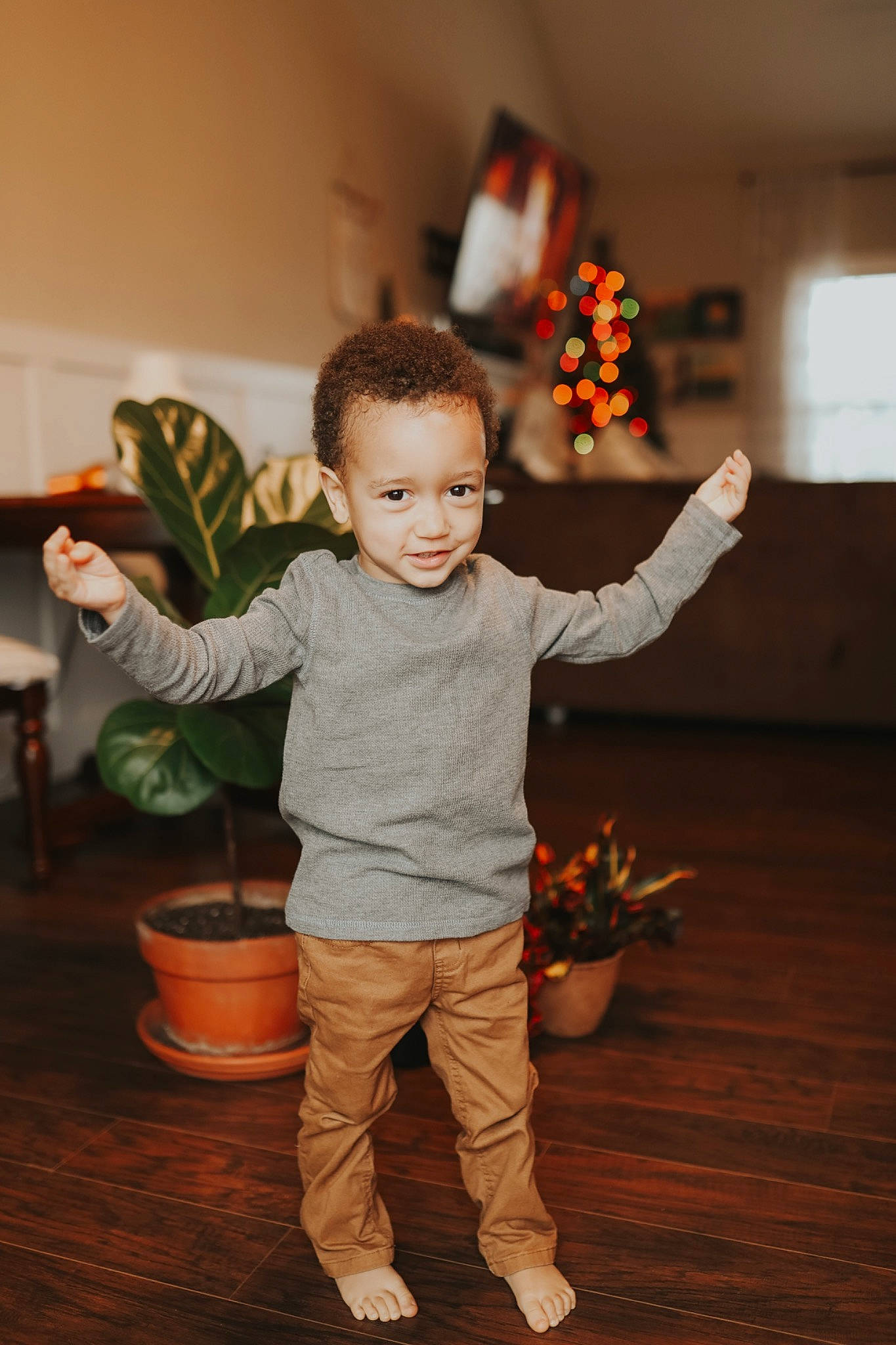 Maxwell joined the competition — help win amazing prizes! baby, child, event, flooring, floral_design, flower, flowerpot, fun, gesture, happy, hardwood, holiday, houseplant, person, plant, room, smile, toddler, window, wood