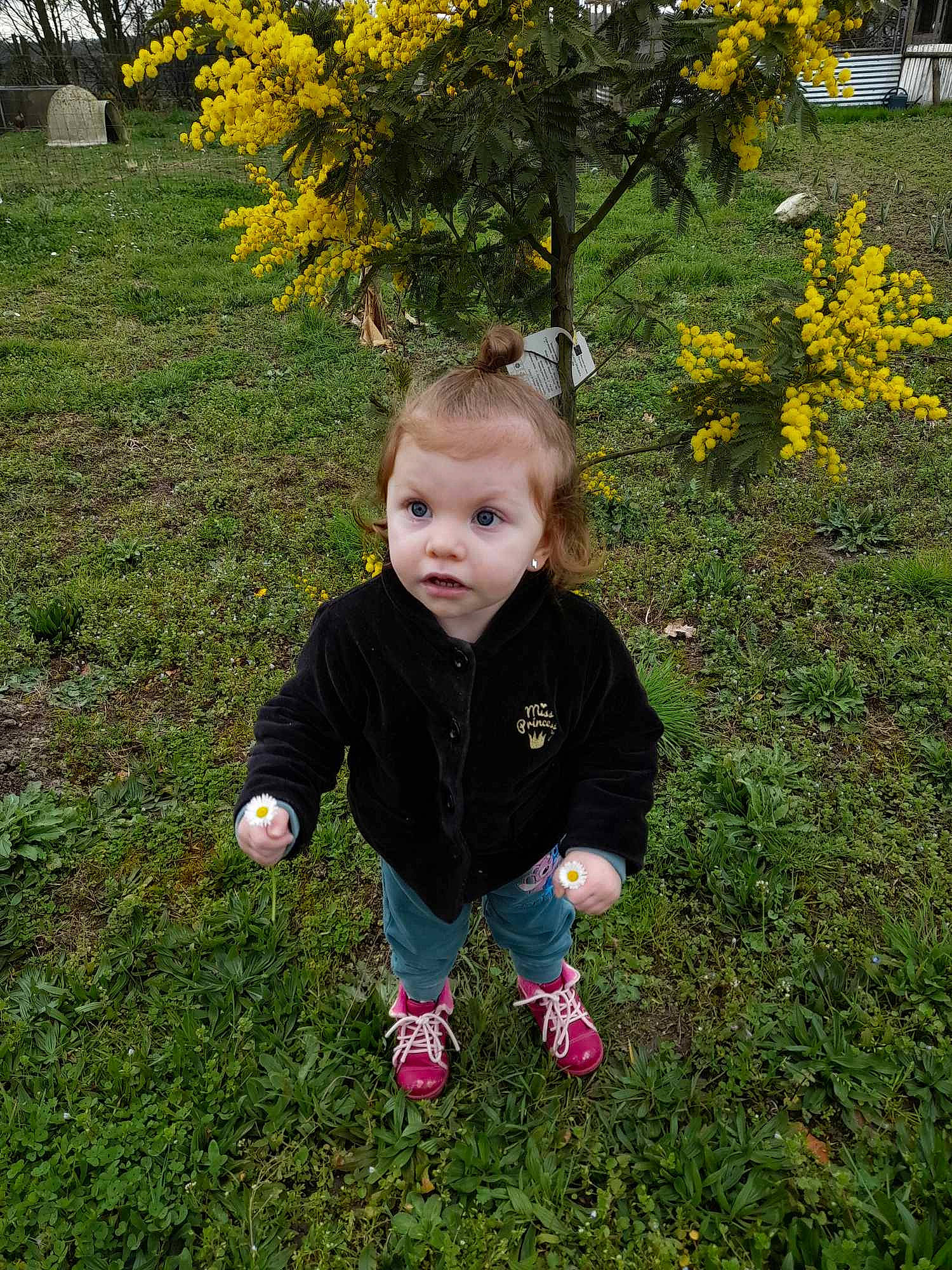 Hynaïti a rejoint le concours — aidez-le/la à gagner de superbes lots ! baby, baby_toddler_clothing, child, deciduous, flower, fun, garden, grass, grassland, groundcover, happy, lawn, leaf, people_in_nature, person, plant, soil, toddler, tree, yard