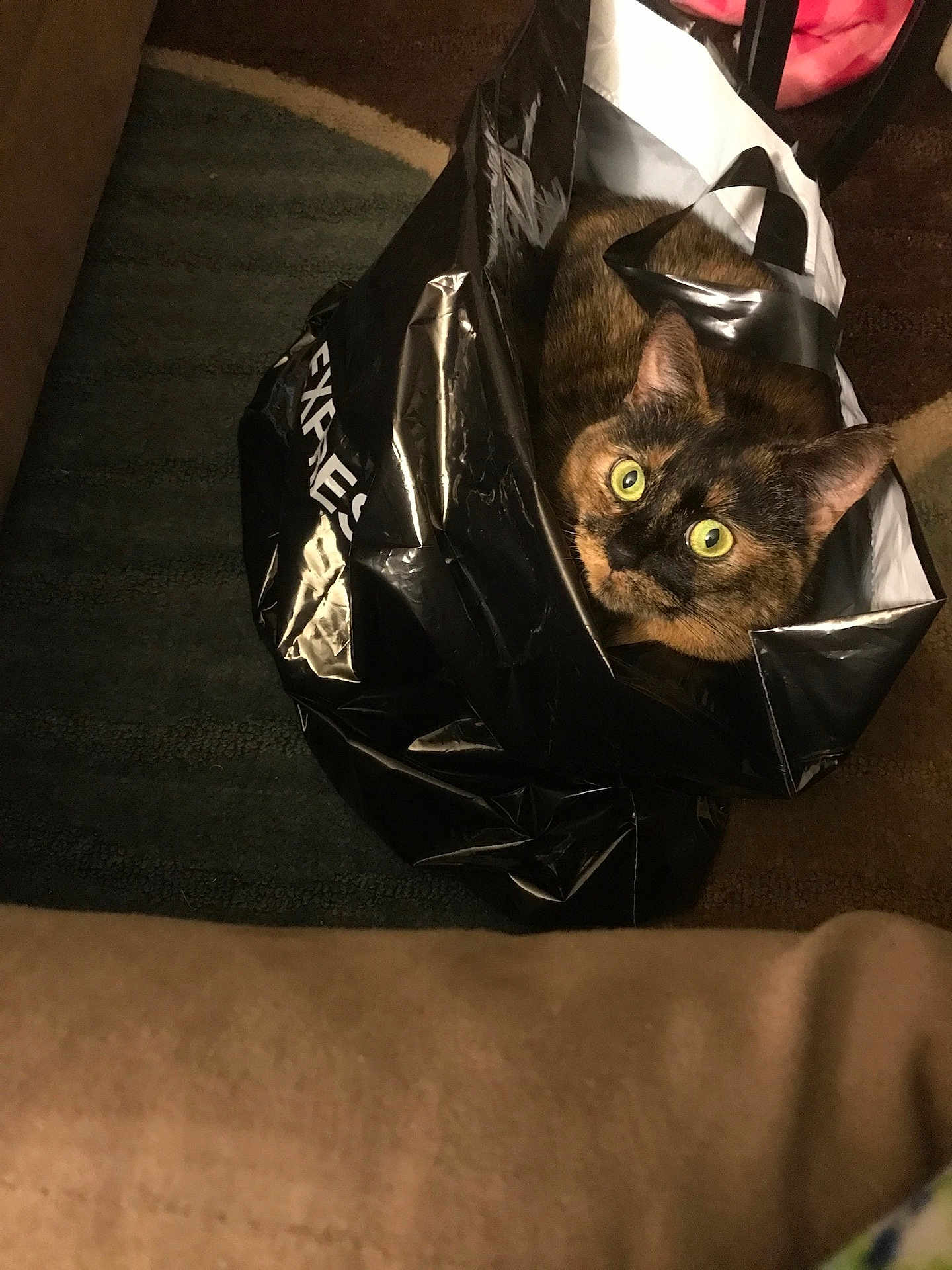 Chloe