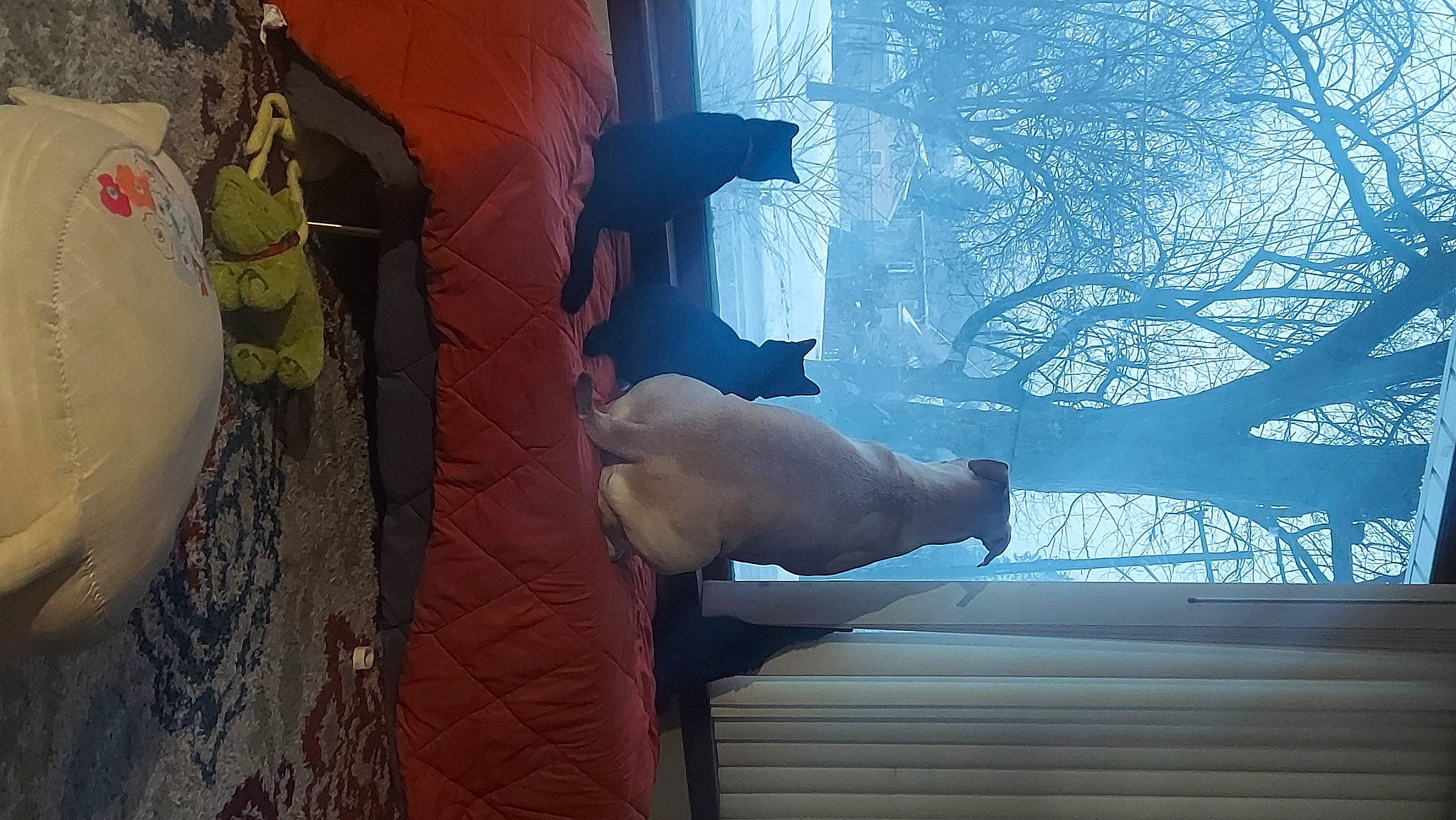 Chasteven is registered to the contest to win money with this photo: art, daytime, electric_blue, freezing, gesture, glass, human_leg, plaster, reflection, sculpture, shadow, sky, tints_and_shades, tree, visual_arts, wall, water, winter, wood, world