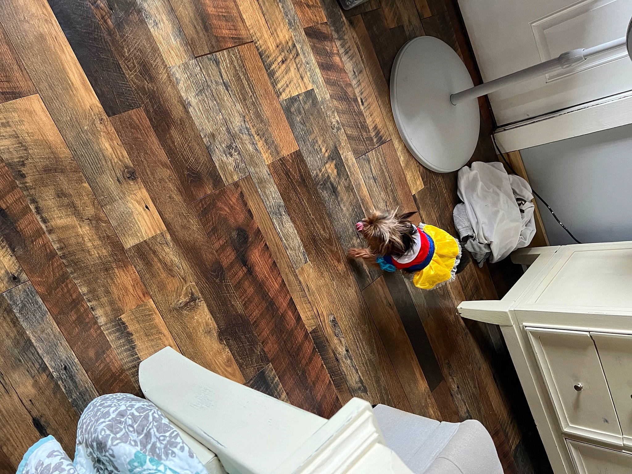 Lexi is registered to the contest to win money with this photo: brown, cabinetry, ceiling, circle, comfort, cupboard, daylighting, drawer, floor, flooring, hardwood, line, pattern, plumbing_fixture, plywood, room, shipping_box, varnish, wood, wood_stain