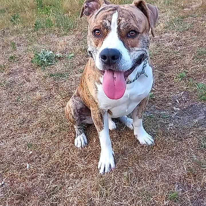 Marley