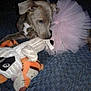 dog, puppy, toy, stuffed_animal, tutu, pink_tutu, playful, chewing, fabric, patterned_floor, indoor, pet, cute, animal, mammal, domestic_animal, closeup, young_dog, blue_background, fun