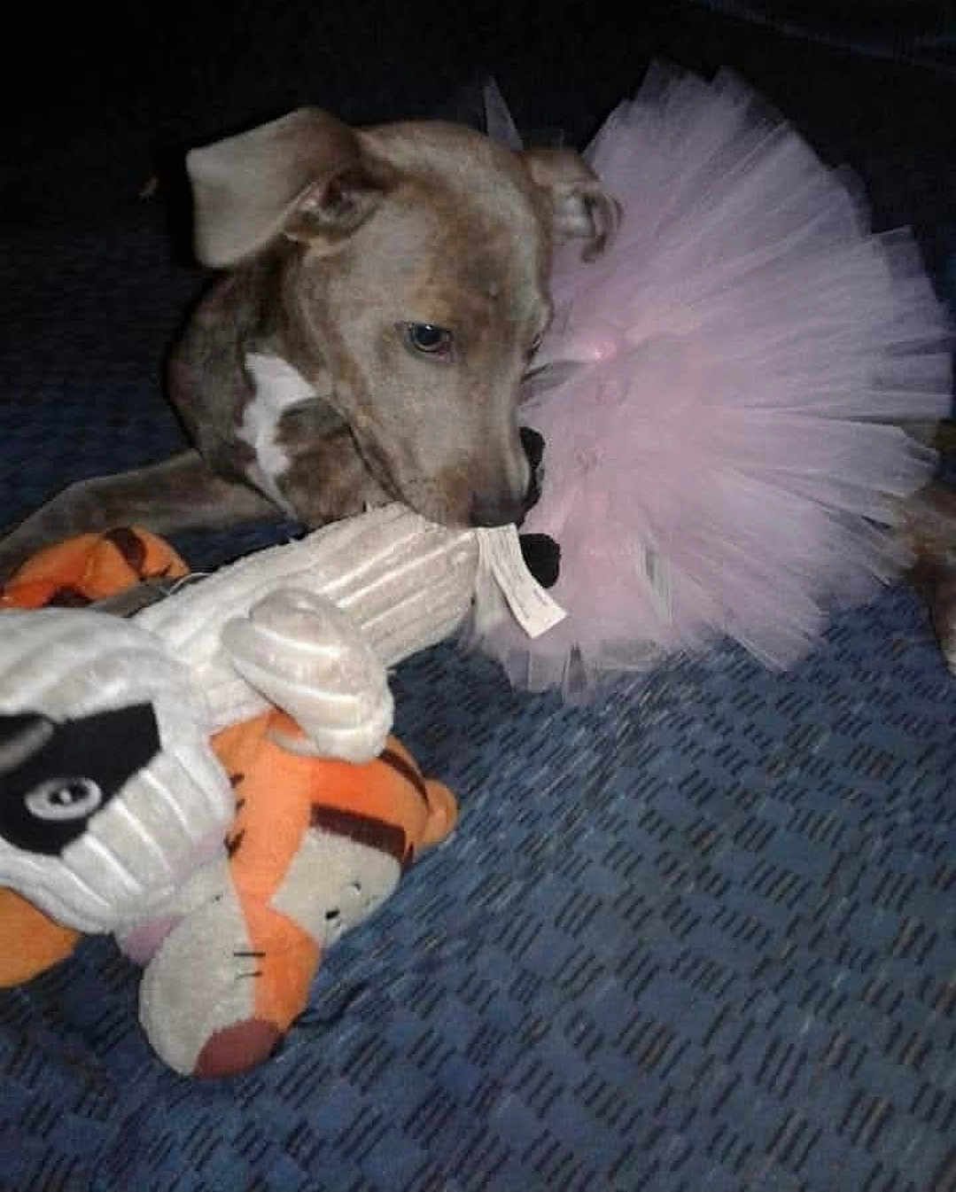 Princess