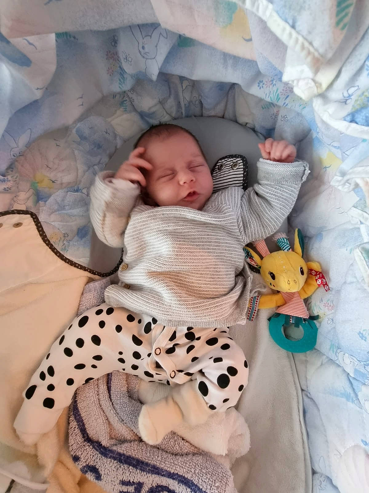 Malissya participe au concours pour gagner de l'argent avec cette photo : baby, baby_safety, baby_sleeping, baby_toddler_clothing, bed, bedding, child, comfort, human_body, infant_bodysuit, linens, pattern, person, pink, product, skin, sleeve, textile, thigh, toddler