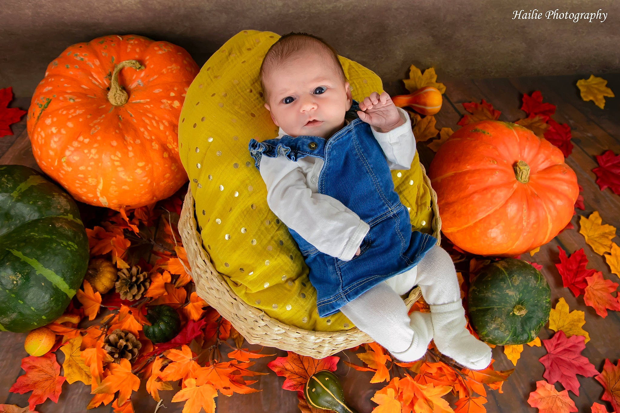 Malissya a rejoint le concours — aidez-le/la à gagner de superbes lots ! baby_toddler_clothing, calabaza, cucurbita, eye, facial_expression, gourd, grass, green, happy, human_body, leaf, natural_foods, orange, organ, people_in_nature, person, plant, pumpkin, squash, vegetable