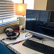 Meena is registered to the contest to win money with this photo: cat, sleeping, desk, lamp, headphones, microphone, computer_monitor, keyboard, window_blinds, reflection, chair, cable, protractor, workstation, indoor, technology, cozy, pet, feline, resting