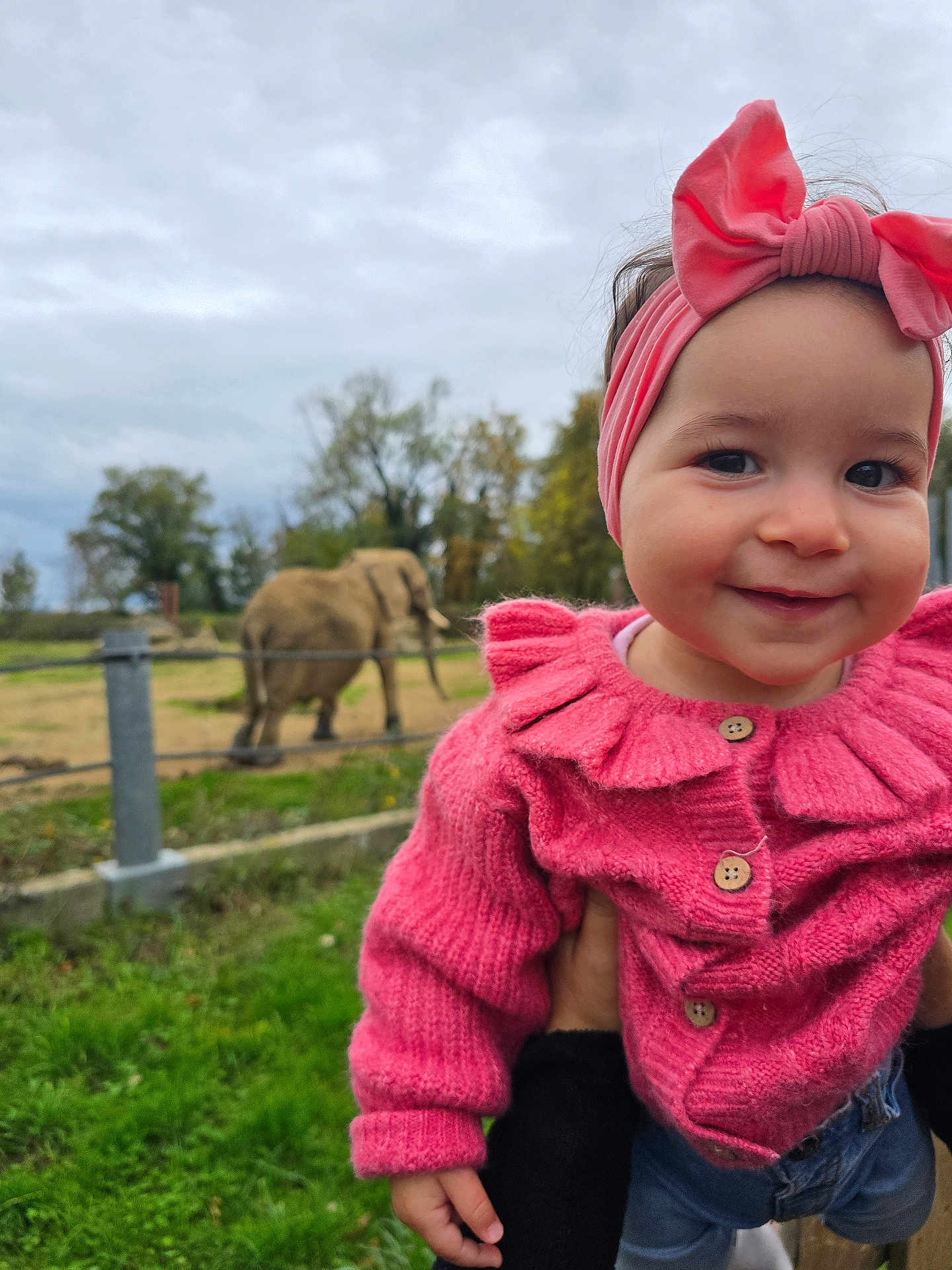 Inaya participe au concours pour gagner de l'argent avec cette photo : toddler, child, pink_sweater, headband, smile, outdoor, grass, elephant, animal, fence, tree, nature, person, baby, portrait, cute, holding, jeans, overcast_sky, daytime