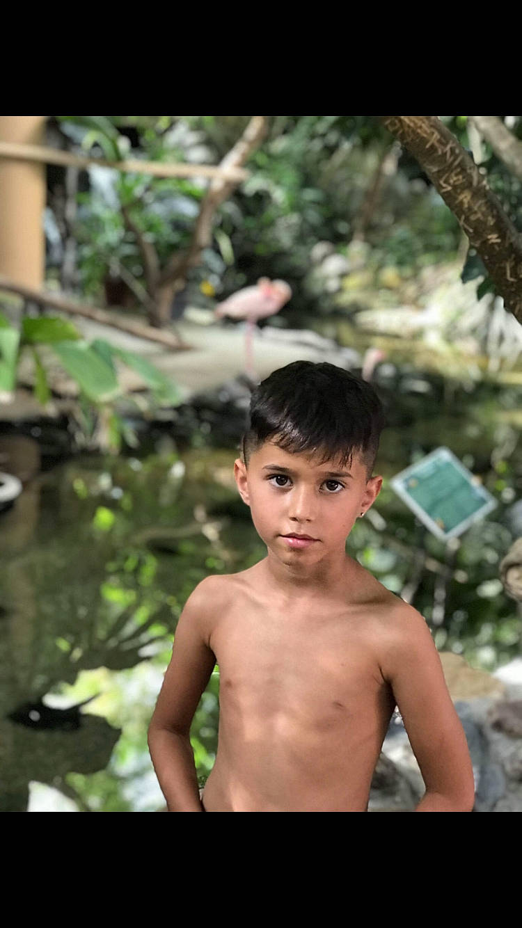 Sonny a rejoint le concours — aidez-le/la à gagner de superbes lots ! adaptation, barechested, black_hair, chest, child, chin, flash_photography, fun, grass, happy, leisure, muscle, people_in_nature, person, plant, skin, snapshot, terrestrial_plant, toddler, trunk