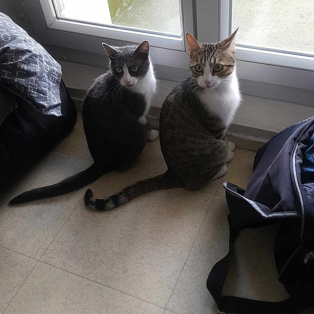 Mino Et Nina