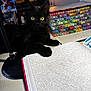 black_cat, kitten, yellow_eyes, coloring_book, markers, desk, lamp, art_supplies, pets, indoor, curious, close_up, feline, animal, young_cat, creative_space, stationery, color_pens, table, cozy