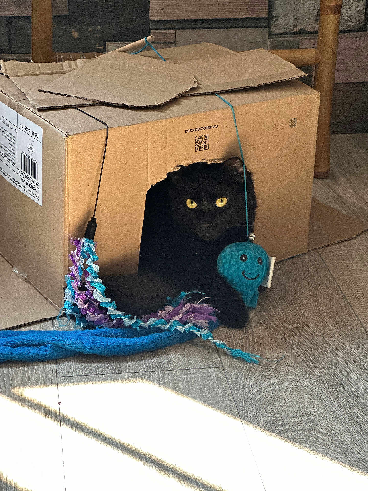 Simba