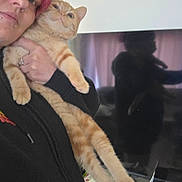Gizmo joined the competition — help win amazing prizes! person, cat, orange_cat, tabby_cat, indoor, reflection, television, black_clothing, pink_hair, piercing, holding, stretching, feline, pet, face, portrait, living_room, furniture, relaxed, smile