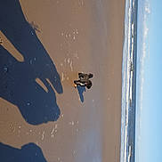 Barcley is registered to the contest to win money with this photo: art, blue, shadow, tints_and_shades, wall, water