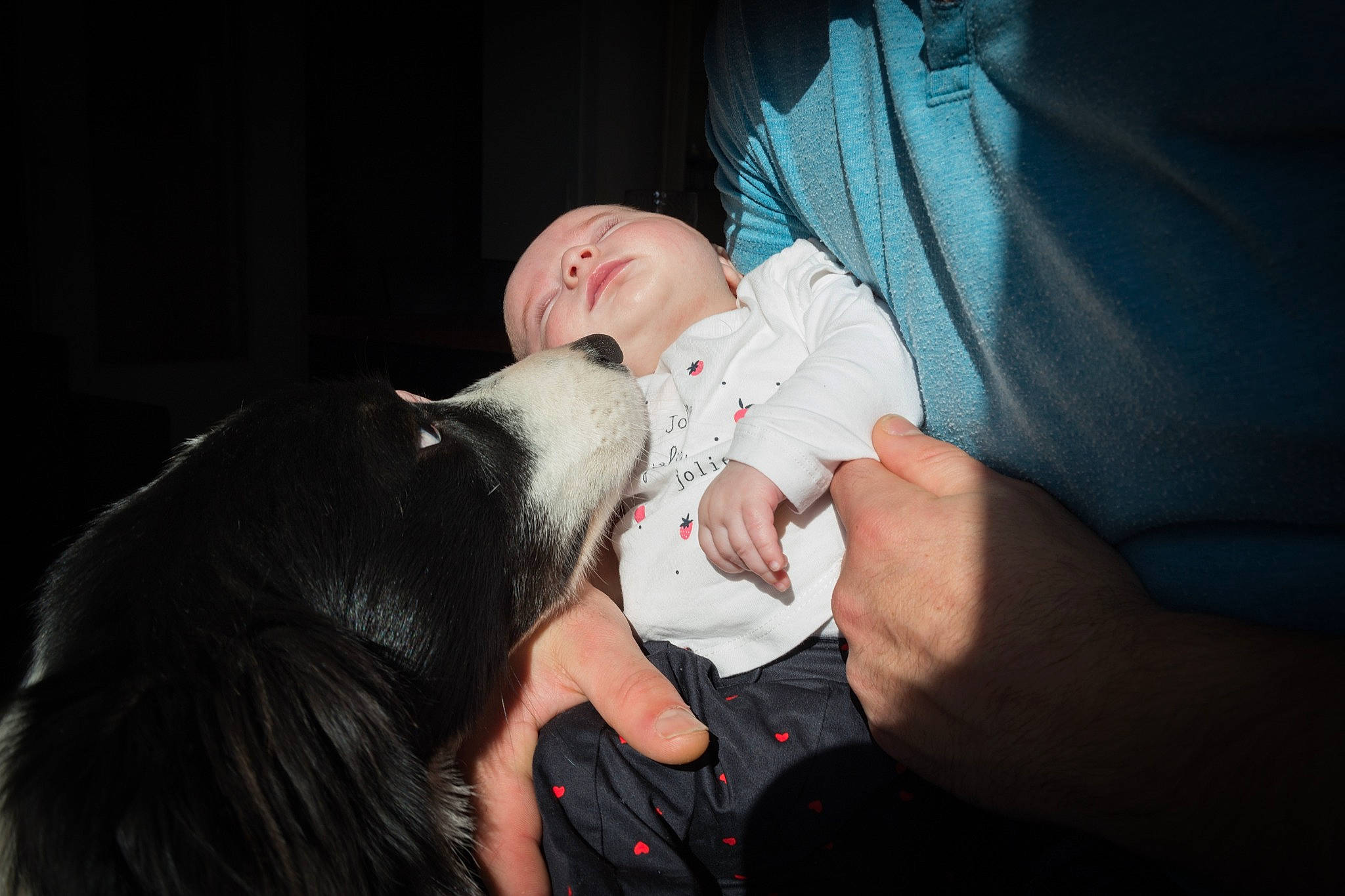 Espoir a rejoint le concours — aidez-le/la à gagner de superbes lots ! arm, baby, carnivore, cheek, child, comfort, companion_dog, darkness, dog_breed, ear, event, finger, flash_photography, fun, gesture, hand, happy, nail, nose, toddler