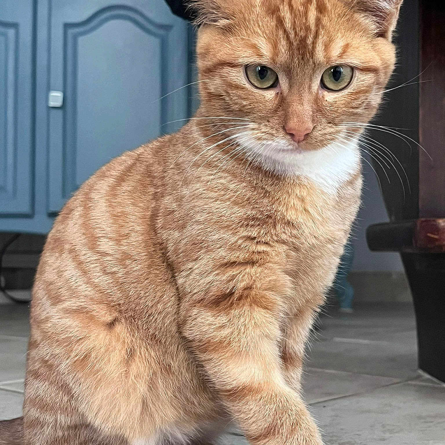 Pumky