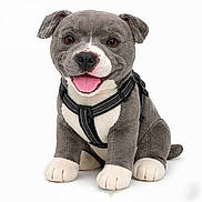 Boy a rejoint le concours — aidez-le/la à gagner de superbes lots ! black_nose, brown_eyes, cute, dog, front_view, gray_fur, harness, indoor, paws, pet_accessory, plush_dog, presentational, realistic_toy, sitting, soft_texture, studio_photo, stuffed_animal, tongue, toy, white_background