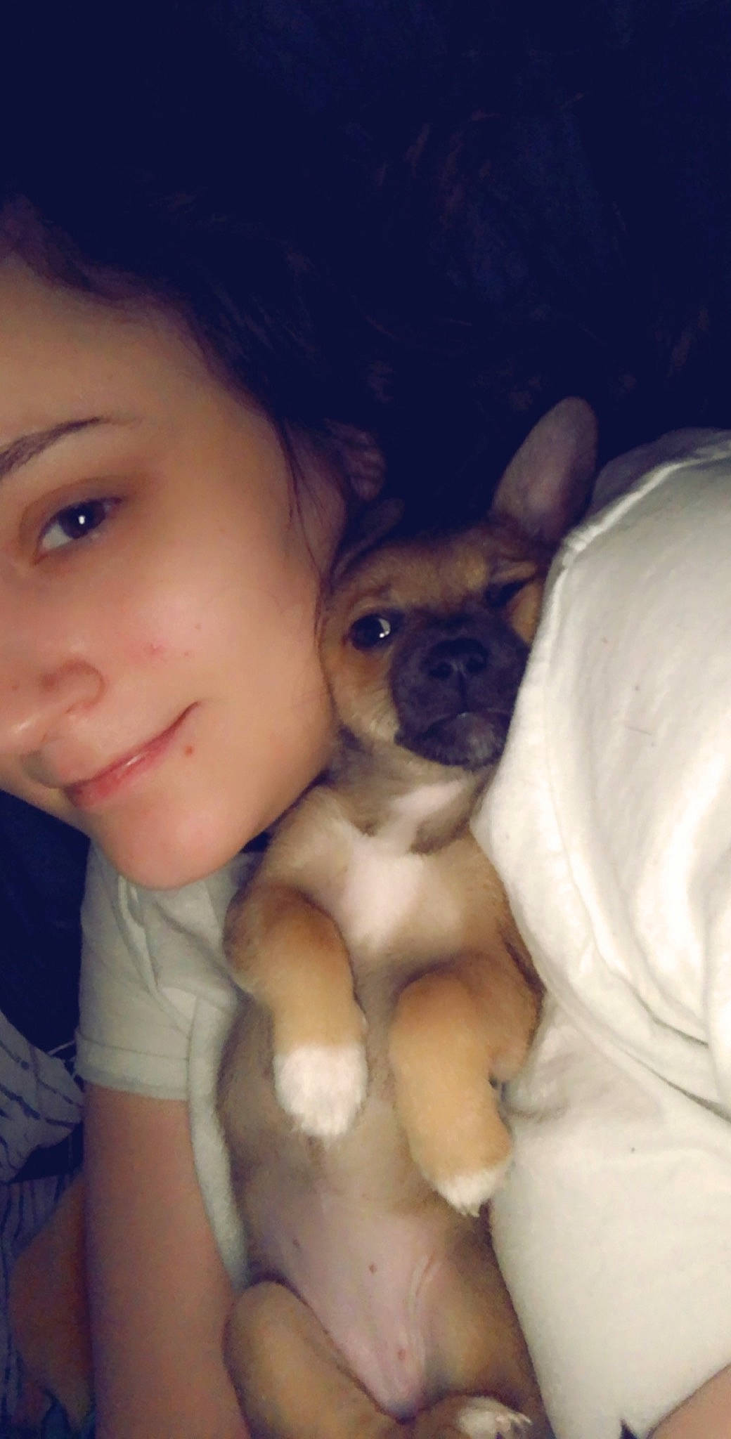 Kiwi joined the competition — help win amazing prizes! canidae, carnivore, companion_dog, dog, dog_breed, ear, eye, fawn, french_bulldog, head, mammal, non_sporting_group, nose, pug, puppy, puppy_love, selfie, skin, snout, toy_dog