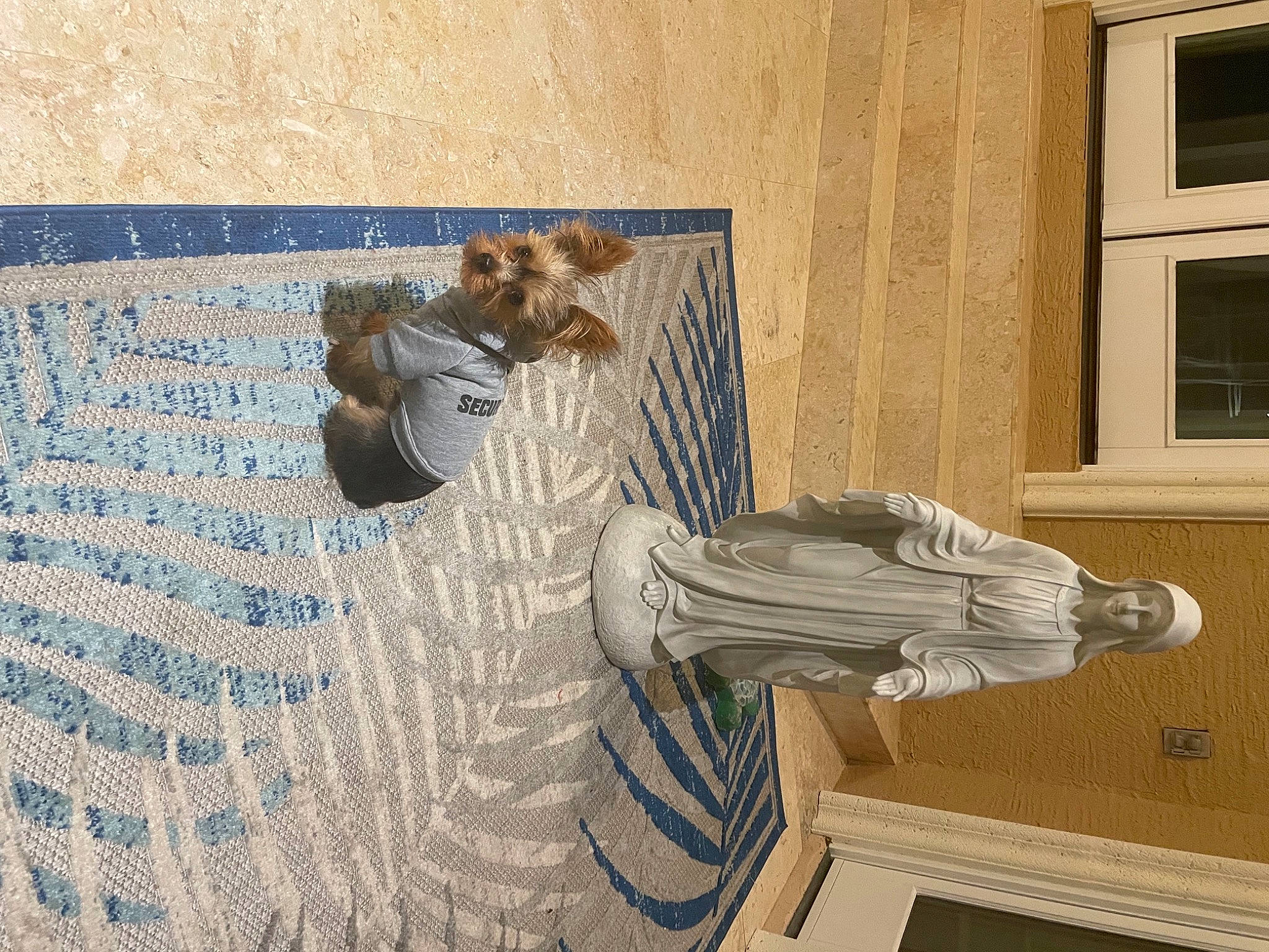 Ethan is registered to the contest to win money with this photo: art, building, ceiling, concrete, facade, floor, flooring, hardwood, molding, pattern, plaster, room, sash_window, sculpture, statue, tree, urban_design, visual_arts, window, wood