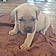 Ares