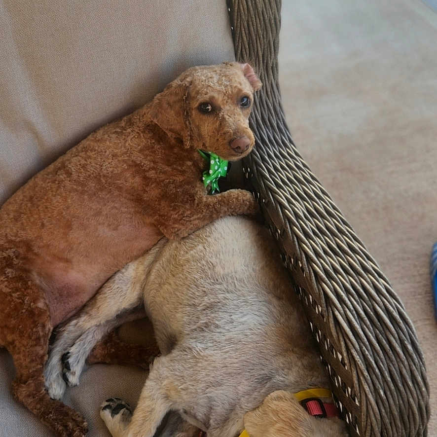 Chloe And Molly