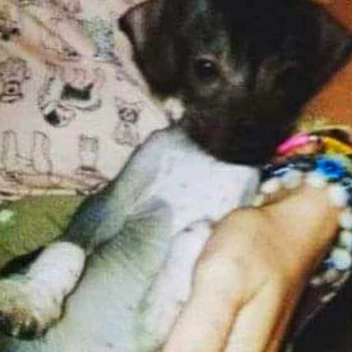 Pico