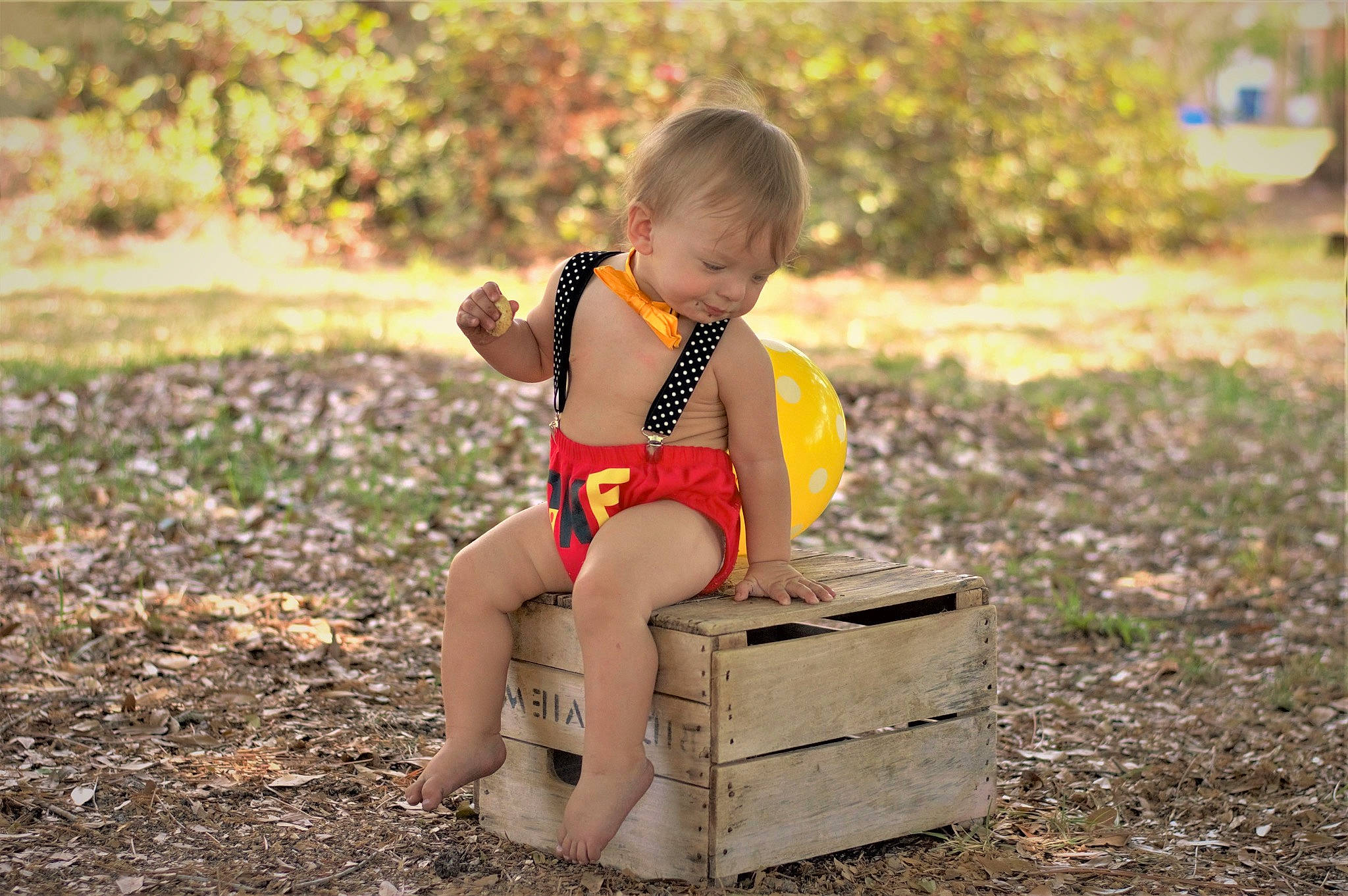 Jacob is registered to the contest to win money with this photo: baby, child, furniture, grass, leg, leisure, person, plant, play, sitting, soil, summer, toddler, tree, vacation, yellow