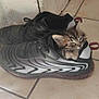 Tiramisu participe au concours pour gagner de l'argent avec cette photo : kitten, cat, sneaker, shoe, tile_floor, sleepy, cozy, indoor, pet, animal, black_and_white, fabric, green, floor, small, cute, resting, feline, soft, quiet