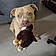 Rosko