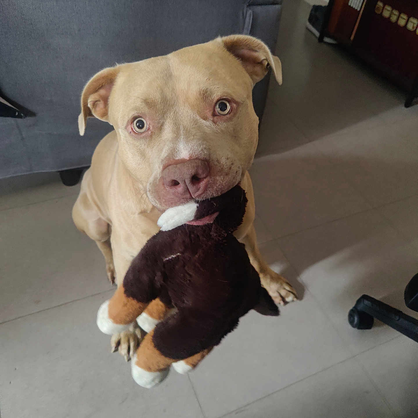 Rosko