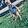 Kayson