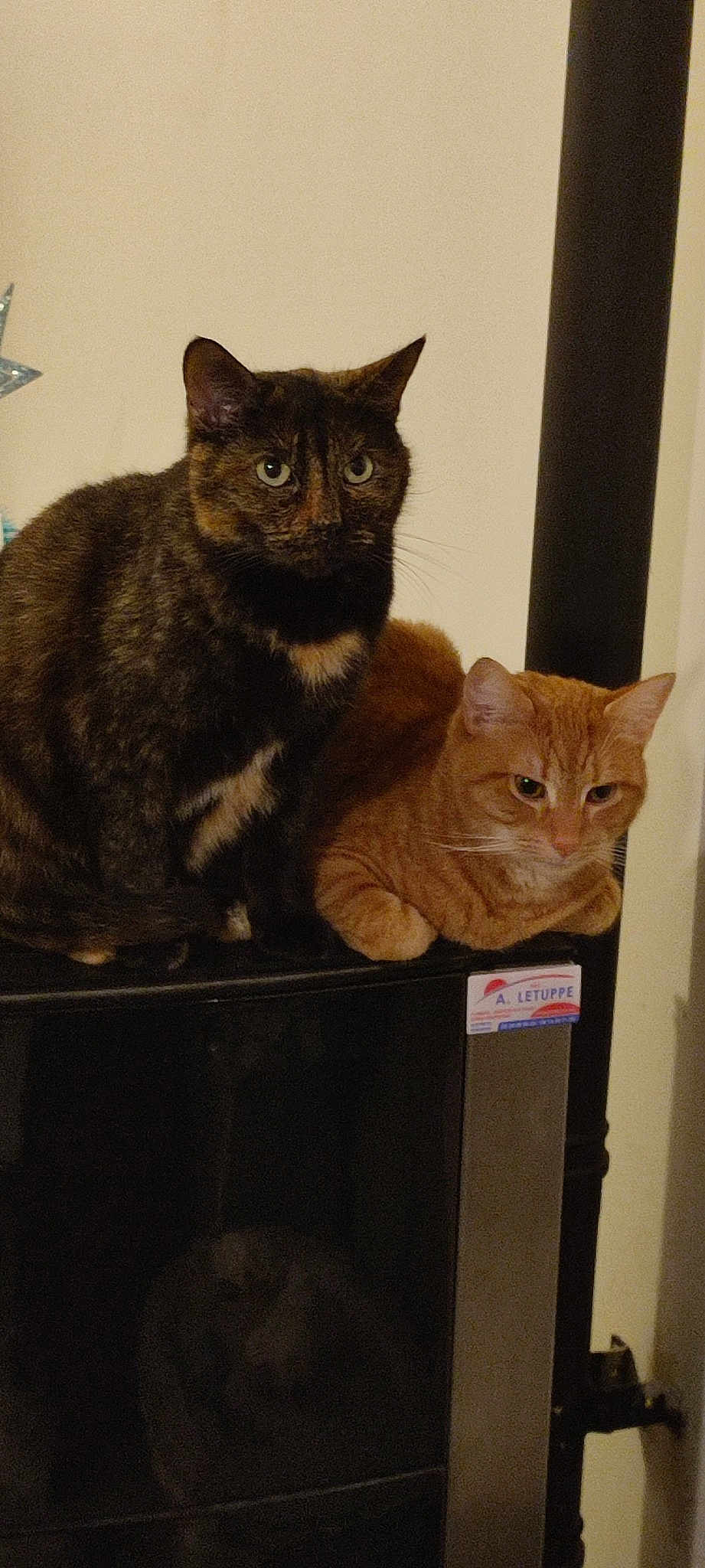 Chat