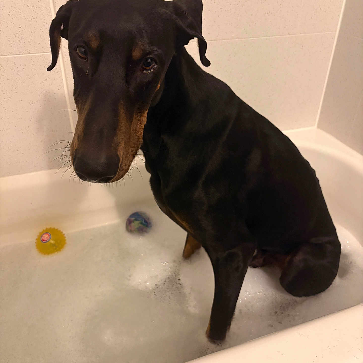 Jax